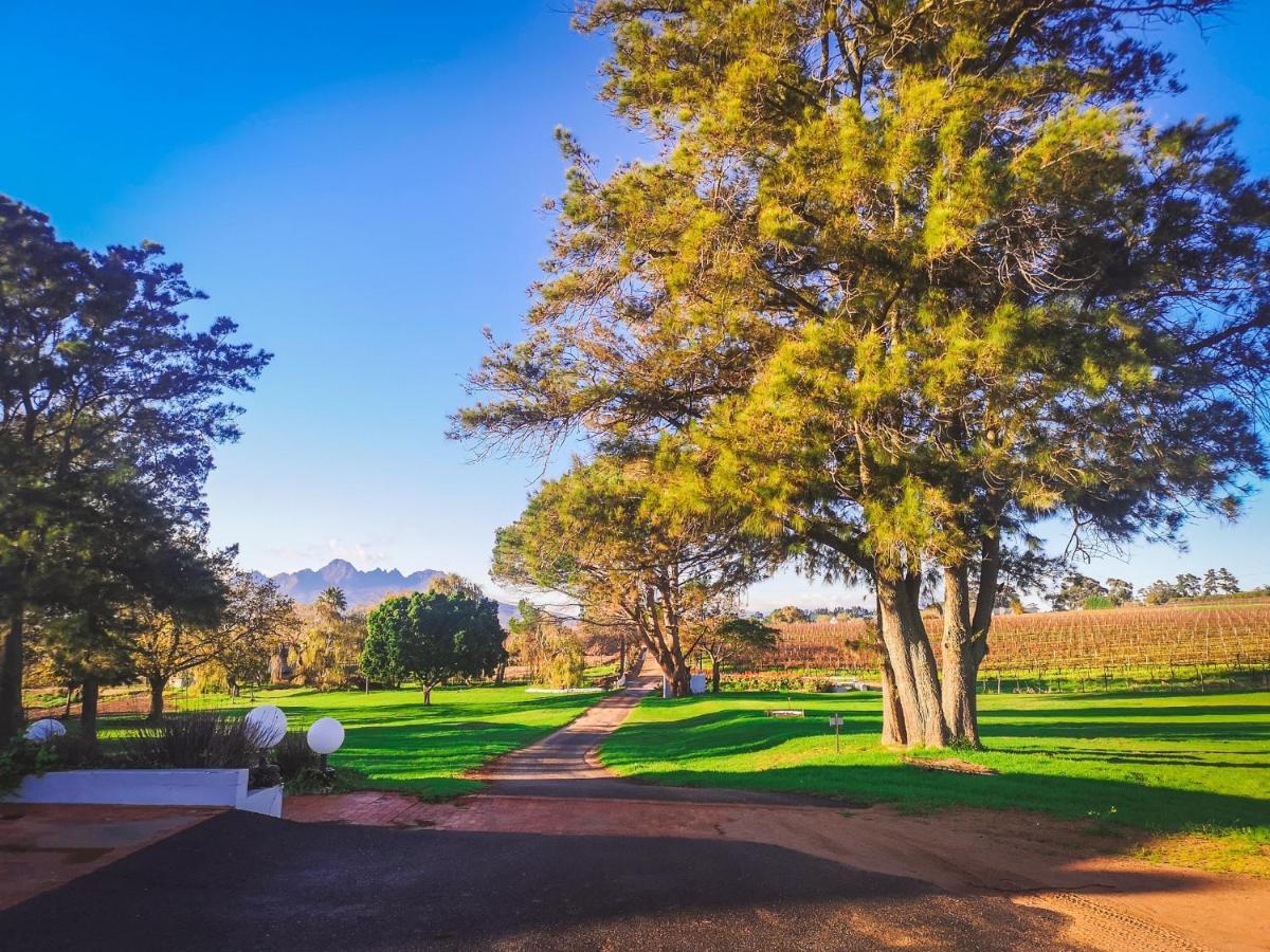 401 Rozendal Cottages Stellenbosch Buitenkant foto