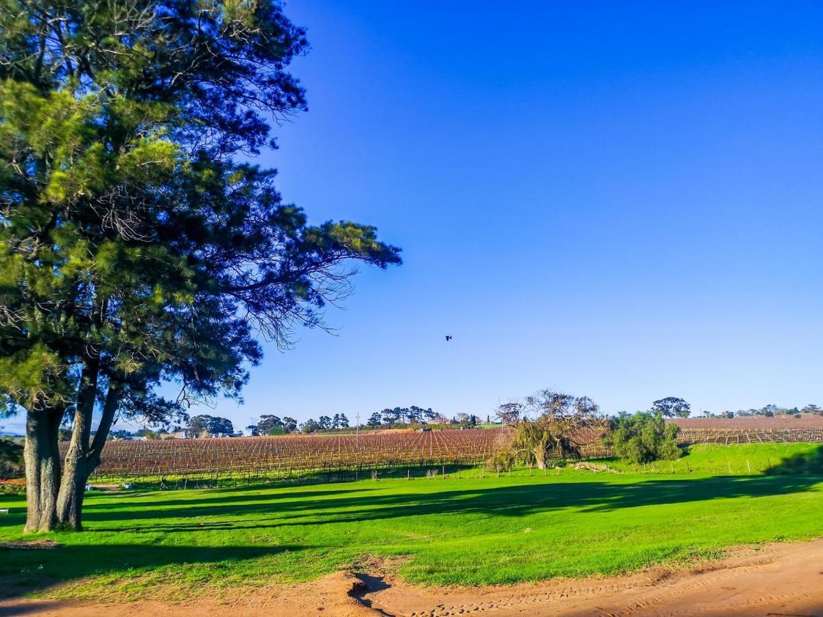 401 Rozendal Cottages Stellenbosch Buitenkant foto