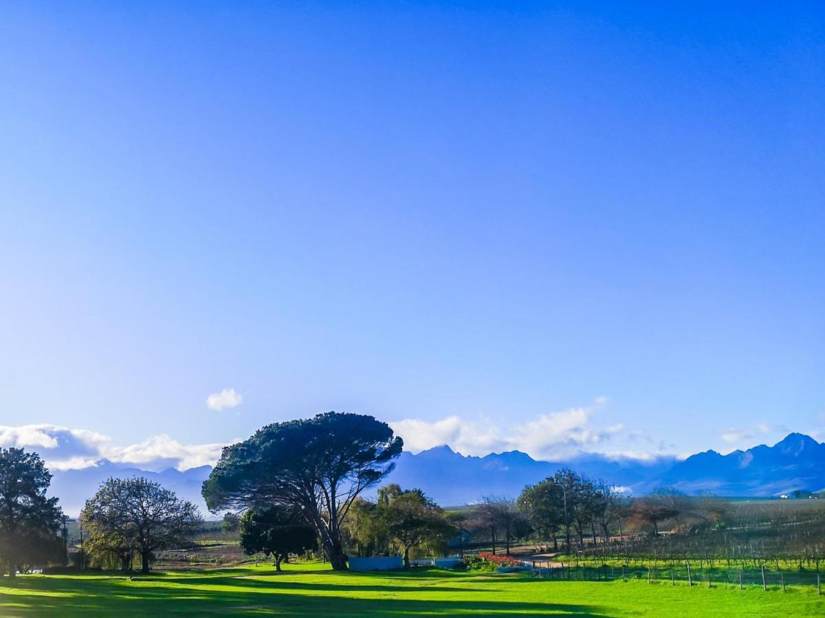 401 Rozendal Cottages Stellenbosch Buitenkant foto