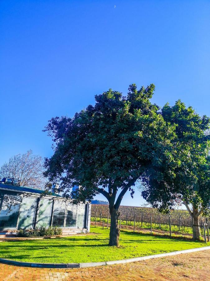 401 Rozendal Cottages Stellenbosch Buitenkant foto